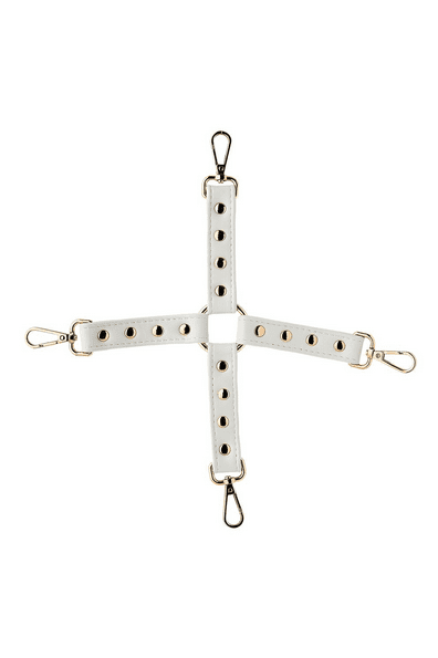 Screenshot 2024-05-21 at 16-07-44 Tonga BV