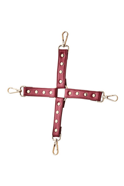 Screenshot 2024-05-21 at 16-07-59 Tonga BV